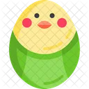 Bird Egg  Icon