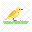 Bird Feeding  Icon