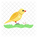 Cute Bird Bird Feeding Bird Food Icon