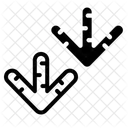 Bird Bird Cage Poultry Icon