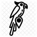 Bird Flying Icon