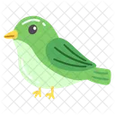 Spring Spring Nature Icon