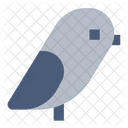 Bird  Icon