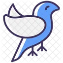 Bird  Icon