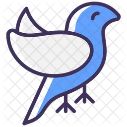 Bird  Icon