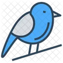 Christmas Bird Animal Icon