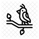 Bird  Icon
