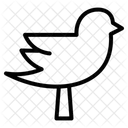 Bird  Icon