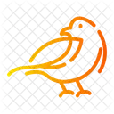 Bird Nature Animal Icon