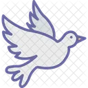 Bird Fly Seagull Icon