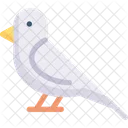 Bird  Icon