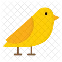 Bird  Icon