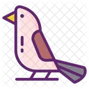 Bird  Icon