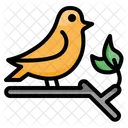 Bird  Icon