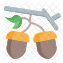 Bird  Icon