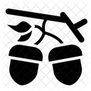 Bird  Icon