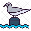 Bird  Symbol