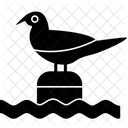 Bird  Symbol