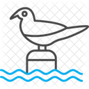 Bird  Symbol