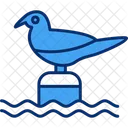 Bird Seagull Tern Symbol