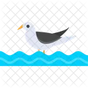 Bird  Symbol