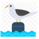 Bird  Symbol