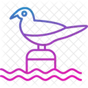 Bird  Symbol