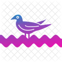 Bird  Symbol