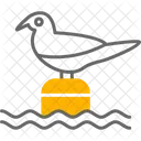 Bird  Symbol
