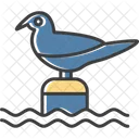 Bird  Symbol