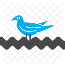 Bird  Symbol