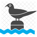 Bird  Symbol