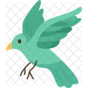 Bird  Symbol