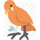Bird  Symbol
