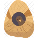 Bird  Symbol