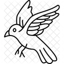 Bird  Symbol