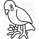 Bird  Symbol