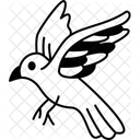 Bird  Symbol