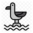 Bird  Symbol