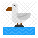 Bird  Symbol