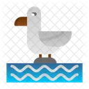 Bird  Symbol