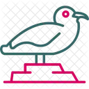 Bird  Symbol