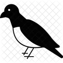 Bird  Icon