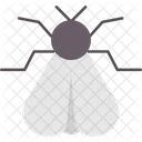 Bird  Symbol