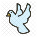 Bird  Icon
