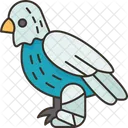Bird Splint Veterinary 아이콘
