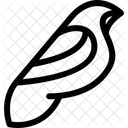 Bird  Icon