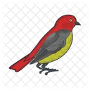Bird Animal Pigeon Icon