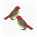Bird Animal Pigeon Icon