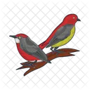 Bird Animal Pigeon Icon